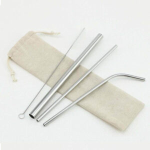 eco stainless steel straw set with pouch