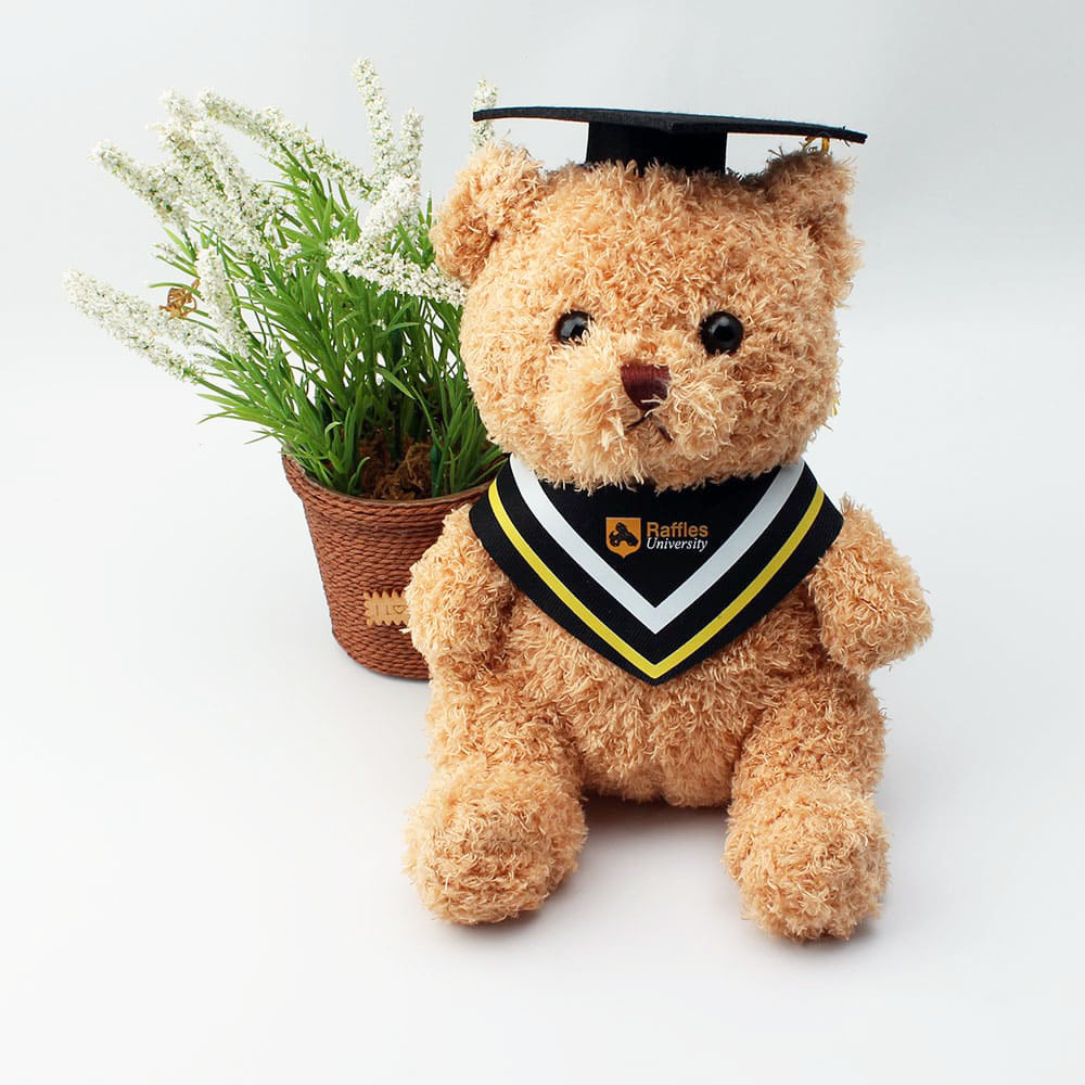 Plush Toy Teddy Bear 1