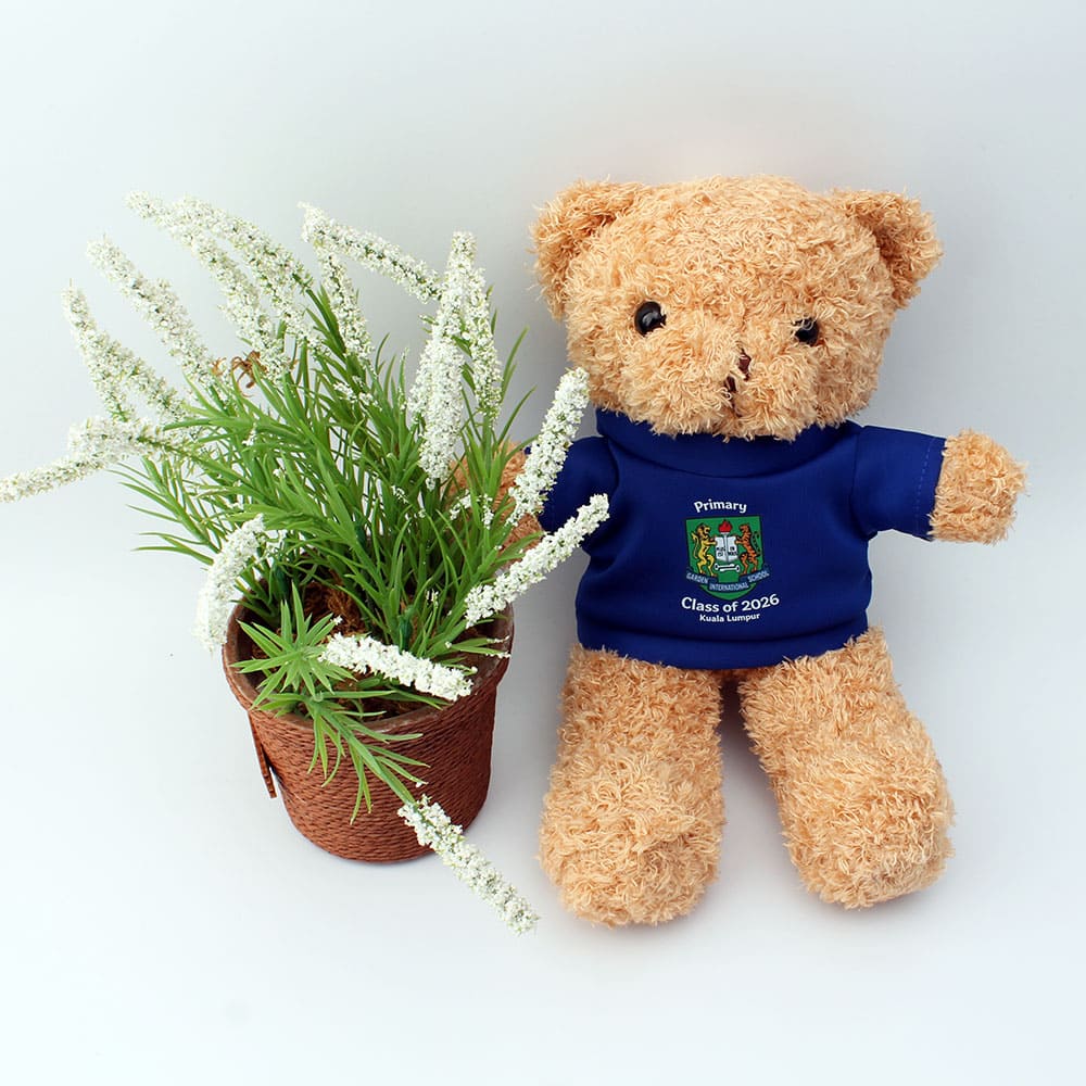 Plush Toy Teddy Bear 2
