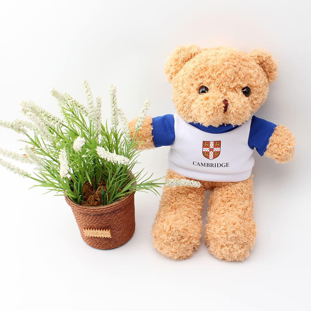 Plush Toy Teddy Bear 3