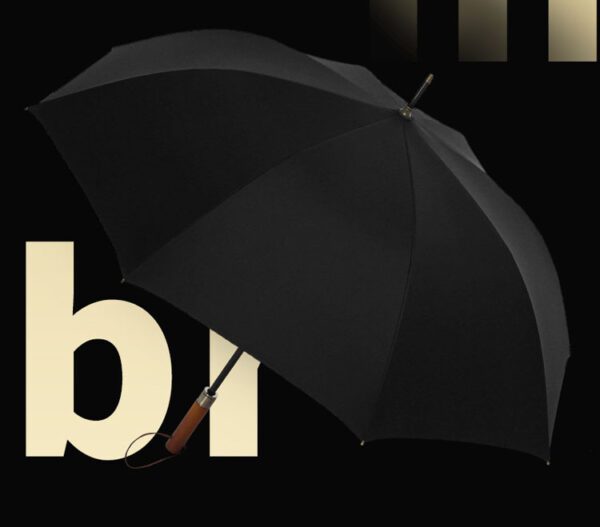 wooden handle umbrella 5